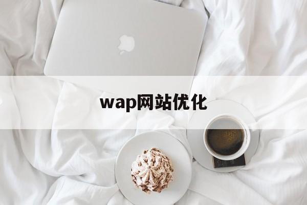 wap网站优化