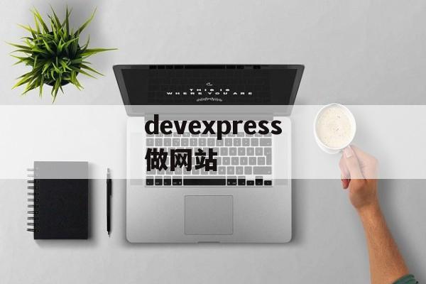 devexpress做网站