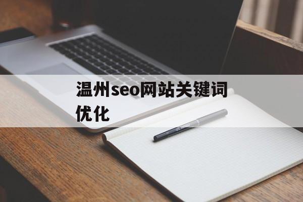 温州seo网站关键词优化