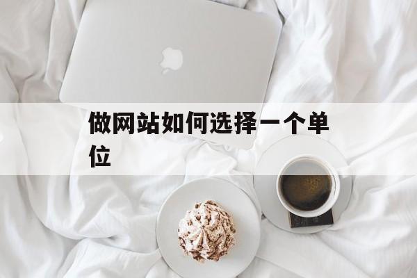 做网站如何选择一个单位