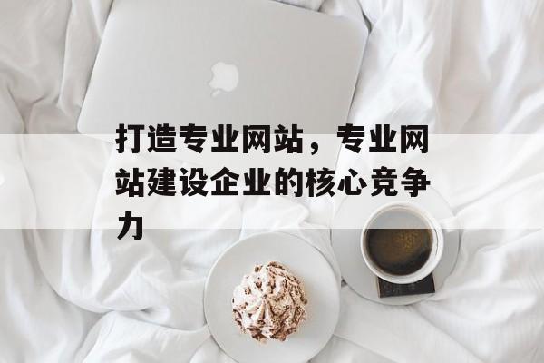 打造专业网站，专业网站建设企业的核心竞争力