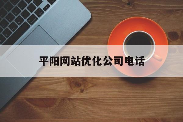 平阳网站优化公司电话