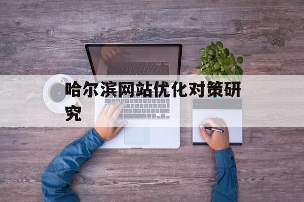 哈尔滨网站优化对策研究