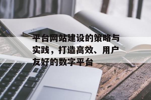 平台网站建设的策略与实践，打造高效、用户友好的数字平台
