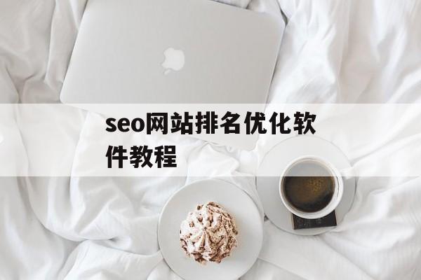 seo网站排名优化软件教程