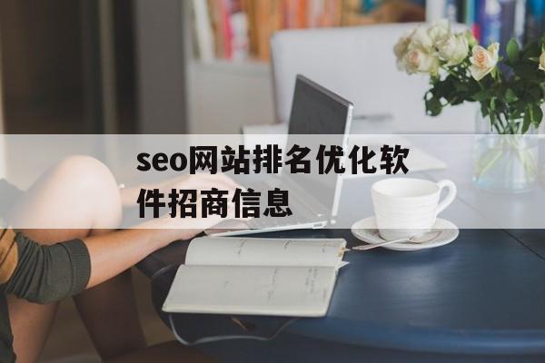 seo网站排名优化软件招商信息