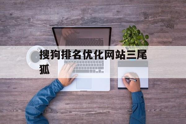 搜狗排名优化网站三尾狐