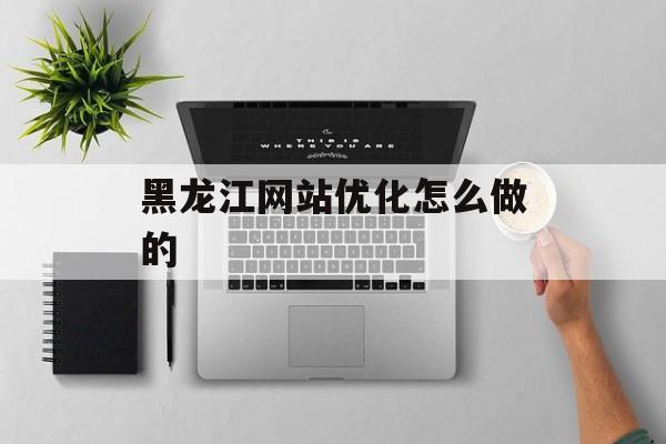 黑龙江网站优化怎么做的