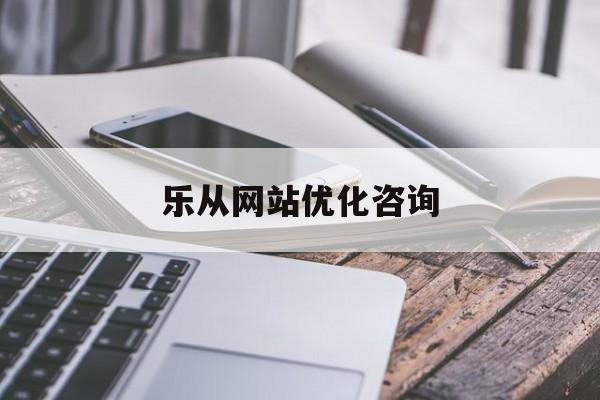 乐从网站优化咨询
