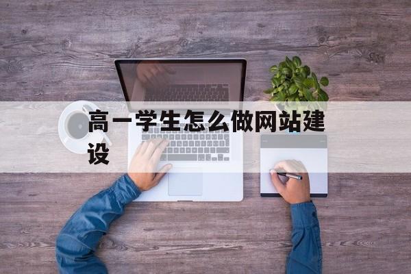 高一学生怎么做网站建设