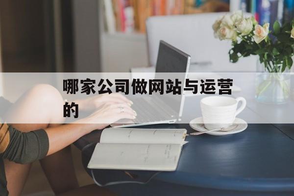 哪家公司做网站与运营的