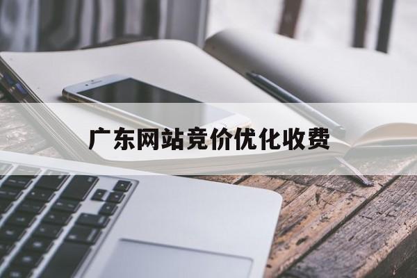 广东网站竞价优化收费