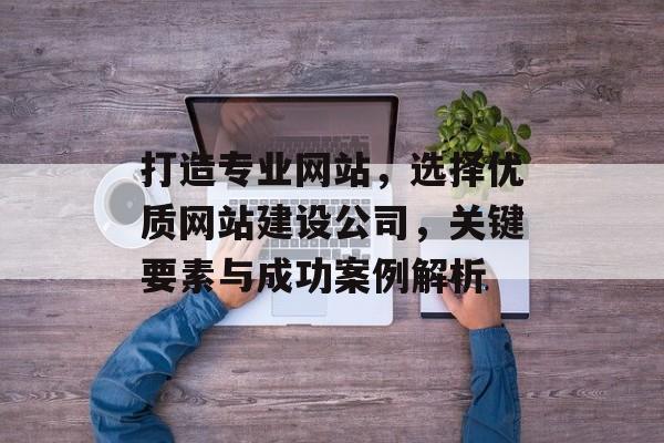 打造专业网站，选择优质网站建设公司，关键要素与成功案例解析