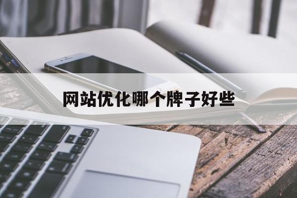 网站优化哪个牌子好些