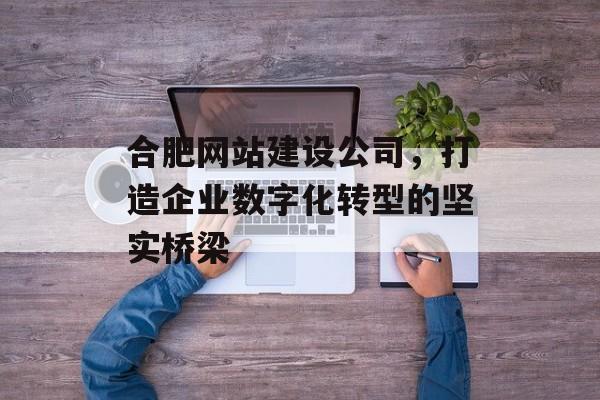 合肥网站建设公司，打造企业数字化转型的坚实桥梁