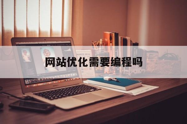 网站优化需要编程吗