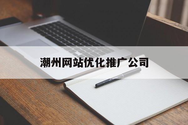 潮州网站优化推广公司