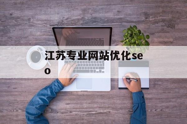 江苏专业网站优化seo 江苏专业网站优化seo