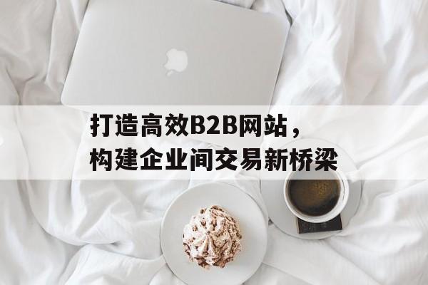 打造高效B2B网站，构建企业间交易新桥梁