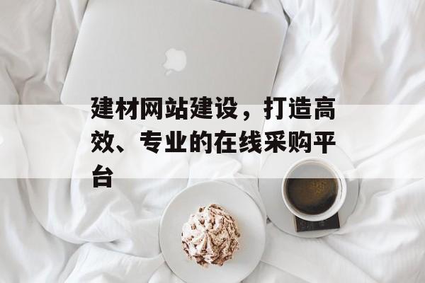 建材网站建设，打造高效、专业的在线采购平台
