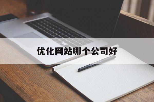 优化网站哪个公司好