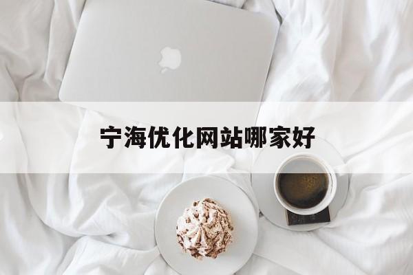 宁海优化网站哪家好