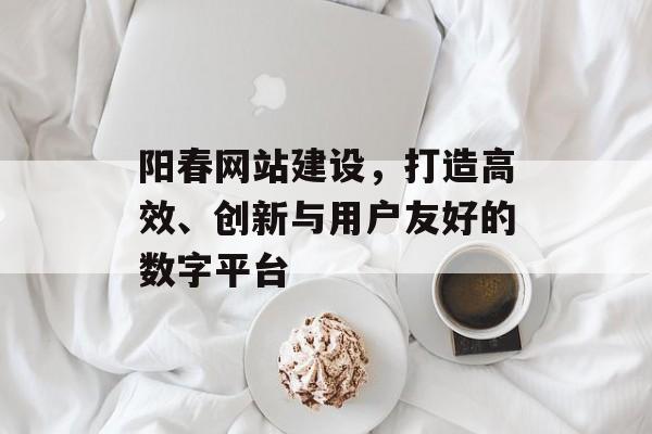 阳春网站建设，打造高效、创新与用户友好的数字平台