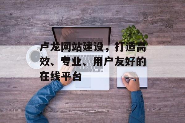 卢龙网站建设，打造高效、专业、用户友好的在线平台
