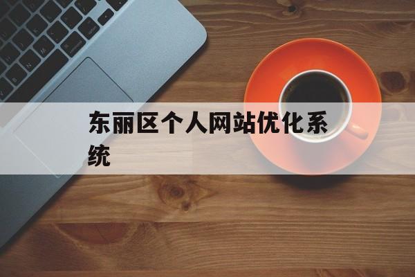 东丽区个人网站优化系统 东丽区个人网站优化系统